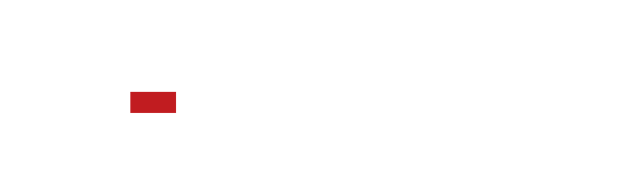 Z-ERGO