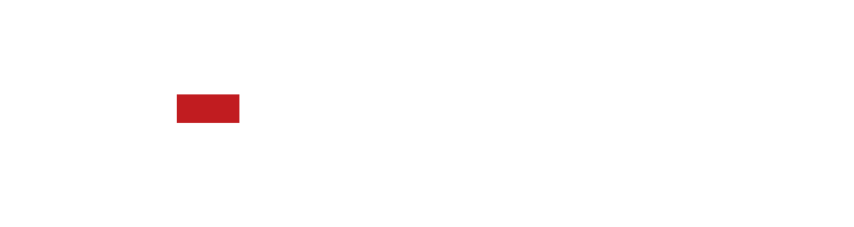 Z-ERGO